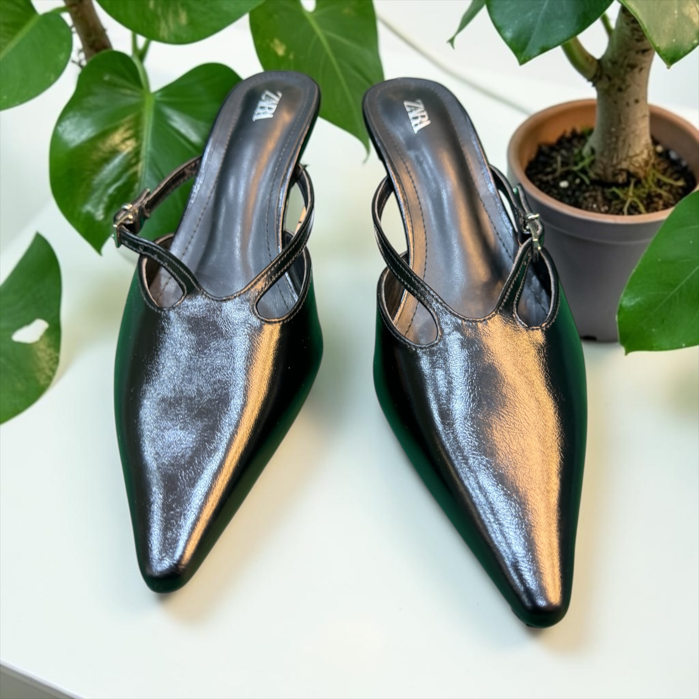 Classic Plain Crocodile Zara Shoes